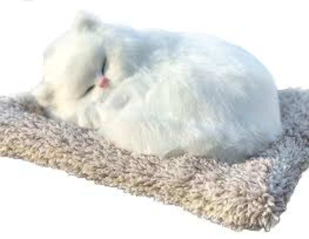 Sleeping Cat Soft Toy 14×14 cm – Cute White Kitten Plush with Meow Sound & Activated Carbon for Kids, Office Desk & Home Decor